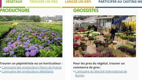 Le site https://www.missionvegetal.fr/trouver-un-pro/ a réuni sur une même page les annuaires existants en production, paysage, conception, vente en gros, vente en jardinerie, fleuristerie.©Mission : Végétal